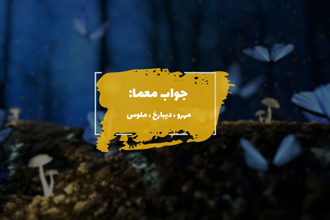 جواب زیبا در جدول چیست؟ 1 beautiful answer