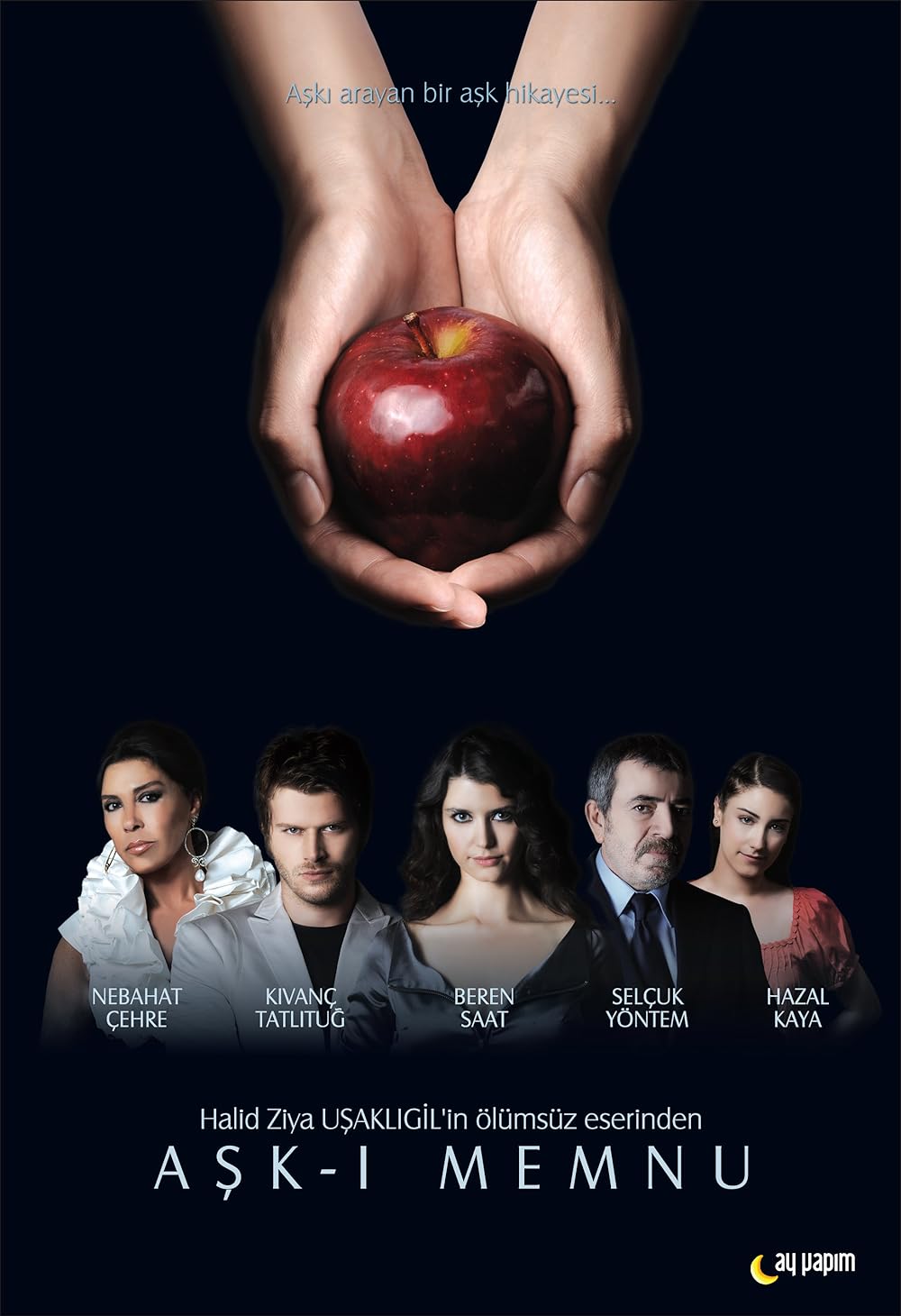 بهترین سریال های برن سات: از بیوگرافی تا حواشی اخیر 13 forbidden love