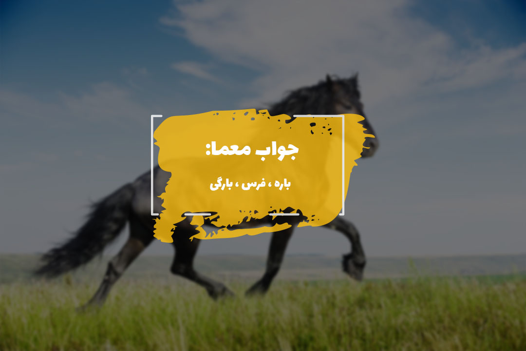 جواب اسب در جدول چیست؟ 1 horse