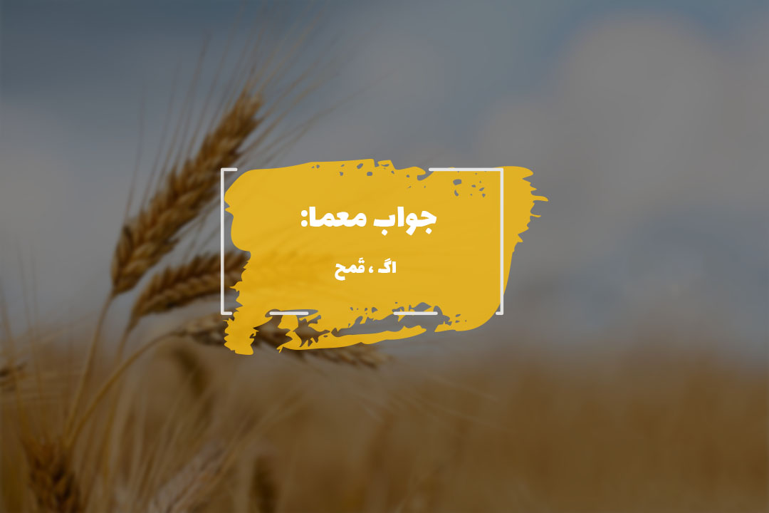 جواب گندم در جدول چیست؟ 1 wheat answer