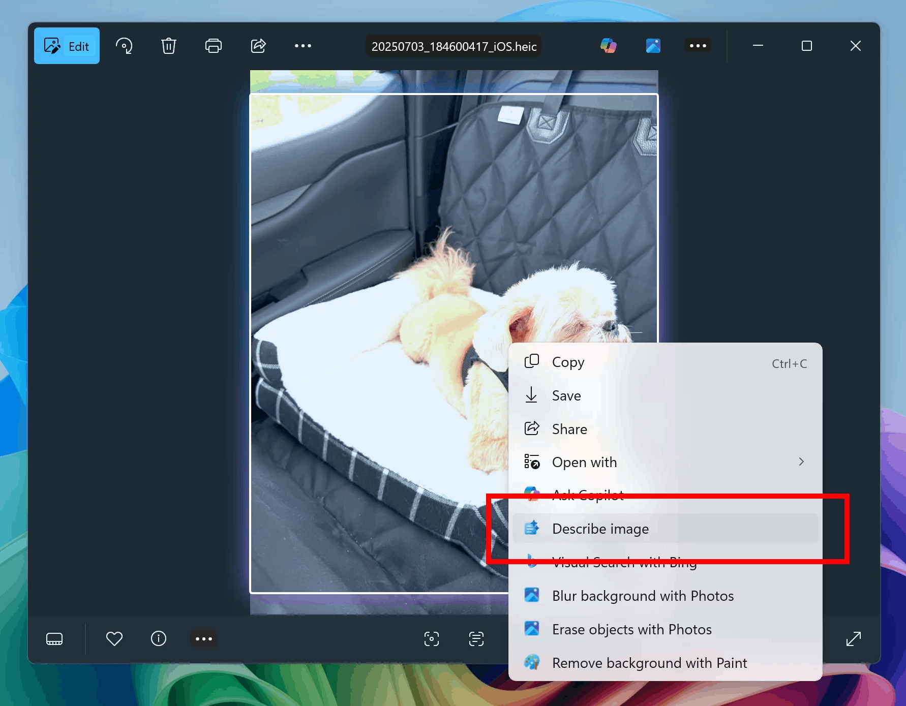 قابلیت توصیف تصویر با هوش مصنوعی به ویندوز 11 میرسد 10 windows 11 describe image