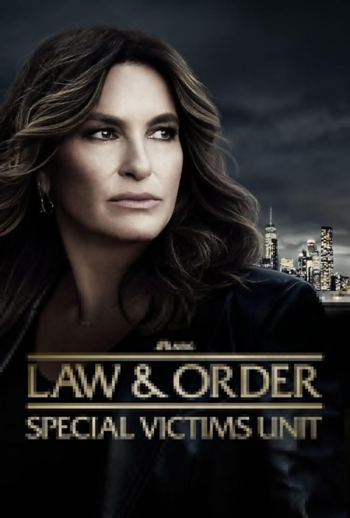 بهترین سریال های حقوقی | برترین های کره، آمریکا و جهان 7 law and order svu
