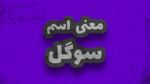 معنی اسم سوگل | وایب اسم سوگل + طالع بینی نام سوگل