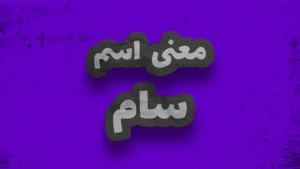معنی اسم سیاوش | وایب اسم سیاوش + طالع بینی نام سیاوش 8 معنی اسم سام | وایب اسم سام + طالع بینی نام سام