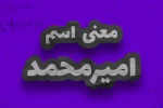 AMIRMOHAMMAD معنی اسم امیر محمد | وایب اسم امیر محمد