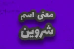 SHERVIN معنی اسم شروین | وایب اسم شروین + طالع بینی نام شروین