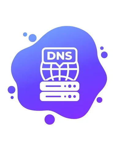 dns