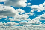 sky-scaled